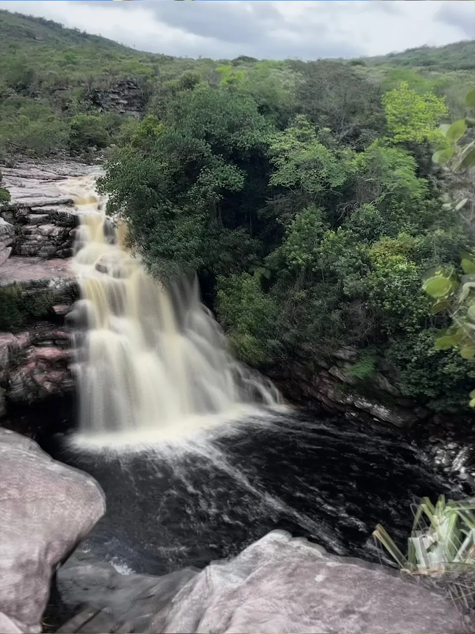 passeio-orquideas-da-chapada-08